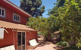 Finca Rural Torres Casas 1 y 4 Bed&Breakfast